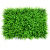 Emulational Lawn Plant Wall Eucalyptus Green Plant Wall Flower Wall Background Wall Plastic Lawn Milan Lawn