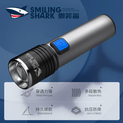 Mini Torch LED Outdoor Waterproof Strong Light Lighting Torch Aluminum Alloy Focusing Small Flashlight