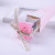 Hot-Selling New Arrival Single Carnation Soap Flower Color Stripes Box Packaging Artificial Flower Mother's Day Teacher's Day Gift Wholesale