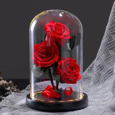 Preserved Fresh Flower Rose Glass Cover Three Little Prince Gift Box Qixi Valentine 'S Day Teacher 'S Day Gift Finished Product Wholesale