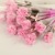 Teacher's Day Mother's Day Gift Promotion Cross-Border Soap Flower Carnation Artificial Flower Single Qixi Valentine's Day
