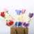 Single Bear Soap Flower Valentine's Day Gift Artificial Rose Bouquet Teacher's Day Promotion Promotion Promotion Wholesale Promotion