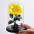 Teacher 'S Day Gift Preserved Fresh Flower Sunflower SUNFLOWER Sunflower Factory Amazon Ins Style