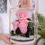 Tanxi Valentine's Day Gift Preserved Fresh Flower Secret Garden Acrylic Box Rose Flower Preservation Decoration See-through Flower Box