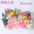 Preserved Fresh Flower DIY Dried Flower Material Package Valentine's Day Teacher's Day Christmas Handmade Creative Gift