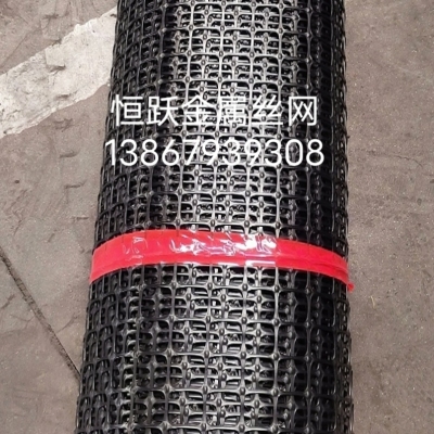 Geogrid Plastic Small Hole Mesh Protective Net Chicken Fence Chicken Breeding Fence Isolation Protective Fence