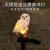 Cross-Border Solar Lawn Lamp Outdoor Owl Led Light Garden Decoration Animal Modeling Solar Garden Lamp