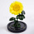 Teacher 'S Day Gift Preserved Fresh Flower Sunflower SUNFLOWER Sunflower Factory Amazon Ins Style