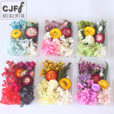 Preserved Fresh Flower DIY Dried Flower Material Package Valentine's Day Teacher's Day Christmas Handmade Creative Gift