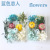 Preserved Fresh Flower DIY Dried Flower Material Package Valentine's Day Teacher's Day Christmas Handmade Creative Gift