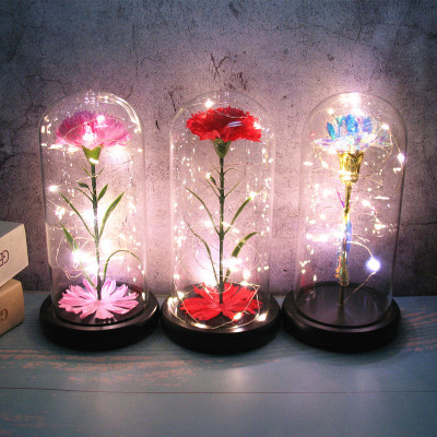 Yimu Flower Road Preserved Fresh Flower Glass Cover Carnation Teacher Mother's Day Gift Creative Glow Decoration Factory Direct Supply