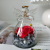 Preserved Fresh Flower Decoration Rose Angel Glass Cover Valentine's Day Teacher's Day Gift for Girlfriend and Wife