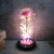 Yimu Flower Road Preserved Fresh Flower Glass Cover Carnation Teacher Mother's Day Gift Creative Glow Decoration Factory Direct Supply