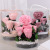 Tanxi Valentine's Day Gift Preserved Fresh Flower Secret Garden Acrylic Box Rose Flower Preservation Decoration See-through Flower Box