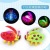 Electric Rope Toy Children's Simulation LADYBIRD Beetle Light Music Universal Wheel Night Market Luminous Toy