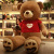 New Cute Teddy Bear Plush Toy Large Hugging Bear Doll Girl Valentine's Day Gift Factory Supply