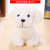 Paula Cute The Shaggy Dog Plush Pendant Keychain Simulation Poodle Roll Plush Doll and Bag Car Accessories