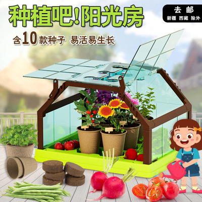 Free Shipping for Generation of Trembling Sound Planting Bar Sunshine Room Plant Box Training Primary School Students' Observation Scientific Experiment Set