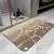 Simple Soft Diatom Ooze Large Size Mat Absorbent Floor Mat Bathroom Non-Slip Mat Toilet Quick-Drying Bathroom Step Mat