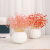 White Ceramic Pumpkin Vase Artificial Flower Artificial Flower Acrylic Handmade Flowers Flower Holder Ceramic Flower Pot