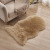 New Carpet Plush Carpet Floor Mat Australian Wool-like Carpet Mats European and American Bedroom Full Shop