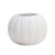 White Ceramic Pumpkin Vase Artificial Flower Artificial Flower Acrylic Handmade Flowers Flower Holder Ceramic Flower Pot