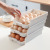 Hot-Selling 15 Grid Egg Storage Box Refrigerator Kitchen Crisper Large Capacity Egg Carton Egg Storage Box Drawer Type