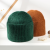 Hat Female 2022 Autumn and Winter Rabbit Fur Knitted Hat Korean Style Japanese Style Winter Solid Color Toque Warm Ear Protection Knitted Hat