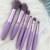 new hotsale 8 pcs makeup brushset colourful brush set professional tools blush brush eye shadow set factory direct sale 