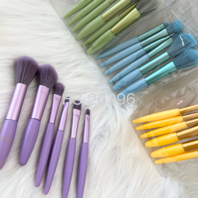 new hotsale 8 pcs makeup brushset colourful brush set professional tools blush brush eye shadow set factory direct sale 