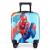 Factory Wholesale 2022 New Children's Trolley Case Cartoon Animation Primary School Student Luggage Universal Wheel Suitcase