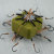 Wall Hoy Bait Cake Clip Cake Eight Claw Hook Sea Fishing Rod Hand Casting Rods Wild Fishing Exlosive Hook Fish Hook