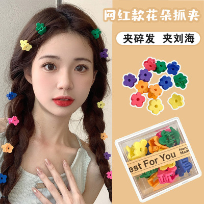 Cute Sweet Flowers Small Jaw Clip Women's Summer Princess Hairstyle Mini Clip Hairware Hairpin Forehead Side Bang Clip