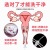 Vagina Flusher Gynecology Cleaning Device Health Faucet Women's Private Part Vagina Washing Device Women's Private Care