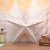 2023 New Christmas Decorations 20cm Printed Five-Pointed Star Shopping Window Decorative Five-Pointed Star Pendant