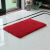 Simple Solid Color Bedroom Living Room Carpet Polyester Non-Slip Absorbent Floor Mat Bathroom Toilet Entrance Floor Mat Wholesale