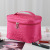 New Net Red Cosmetic Bag Korean Style Large Capacity Girl Heart Portable Travel Toiletry Bag Factory Wholesale