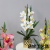 New artificial flower set artificial butterfly orchid