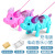 Douyin Online Influencer Rope Pig Toy New Chin With Light Walking Light Music Special Link For Generation