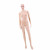 Clothing Model Factory Direct Sales Model Mannequin Mannequin Mannequin Clothing Store Display Stand Plastic Female Model