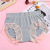 Mid-Waist Underwear Women's Recycled Fiber Exquisite Skirt Pattern Lace Pants Feet Super Soft Fabric Shorts Women's Underwear