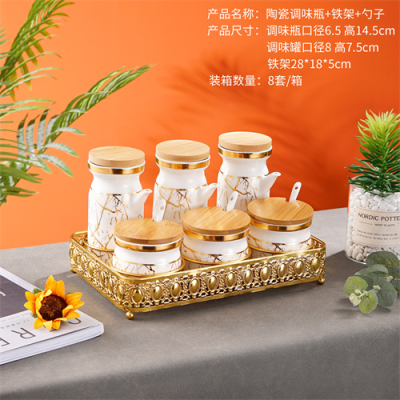 Factory Direct Sales Ceramic Tableware Ceramic Sealed Can Multi-Shape Seasoning Containers Spoon Iron Frame Can Be Customized