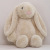 toysRabbit Doll Plush Toys Long-Ear Rabbit Doll Wedding Gift Girl Dolls for Clawing Gift Wholesale