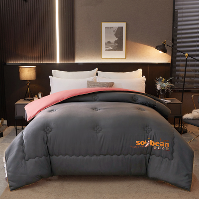 2022 Soybean Fiber Double Stitching Quilt Inner Autumn and Winter Quilt Single Student Dormitory Winter Quilt Thickening Thermal Duvet