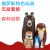 Wholesale Russia Matryoshka Doll Cartoon Brown Bear Five-Layer Forest Bear Wooden Craftwork Scenic Spot Gift Gift