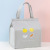 New Fashion Simple Large Capacity Fresh Fruit Colorful Picnic Insulated Bag Lunch Bag Lunch Box Bag Wholesale