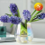 Glass Vase Living Room Flower Arrangement Home Decorations Table Decoration