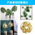 Factory Direct Sales Metal Leaf Electroplating Iron Stamping Accessories Monstera Simulation Decorative Painting Candlestick Ornaments