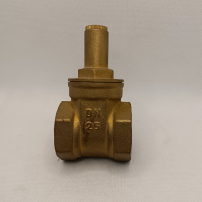 Brass Iron Stop Valve, Check Valve, Ball Valve, Water Faucet, All Kinds of Copper Fittings, Gas Valve Copper