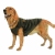 Pet Supplies Winter Clothing, 14 Colors, from 2 Jin to 80 Jin Size, in Stock Wholesale